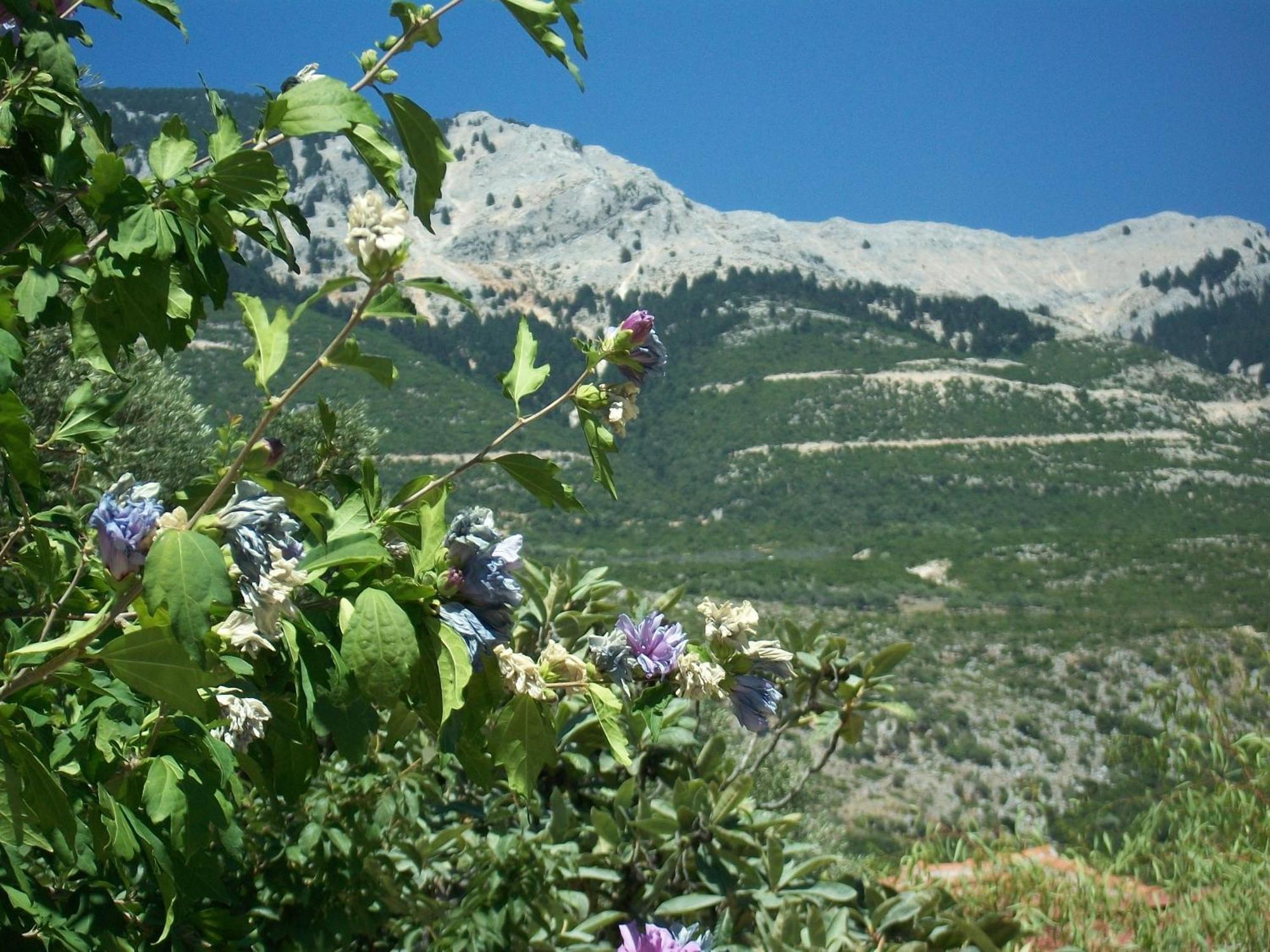 Ramona Lourdata (Kefalonia) Exterior foto
