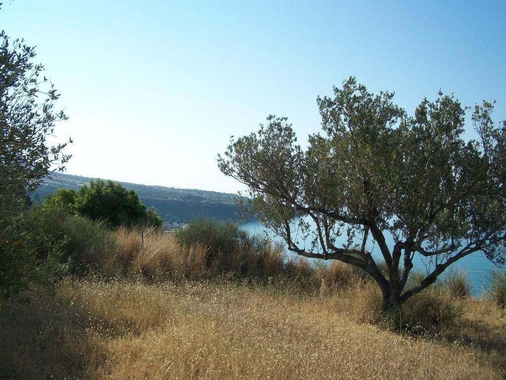 Ramona Lourdata (Kefalonia) Exterior foto