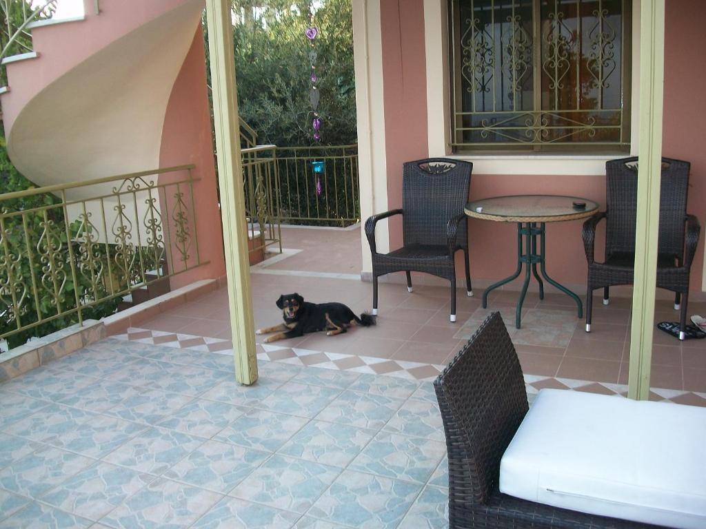 Ramona Lourdata (Kefalonia) Exterior foto